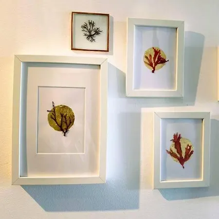 Semesterbostad Ocean House Relax, Nature & Fun