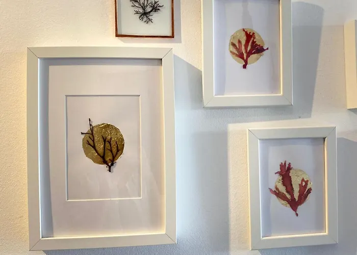 Ocean House Relax, Nature & Fun